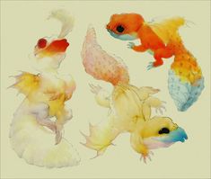 four different types of fish are depicted in this watercolor painting style illustration, including one goldfish, the other orange and white