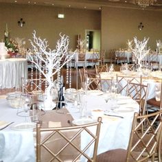 tables and chairs are set up for a wedding reception with white frosted branches on them