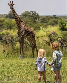 A family safari is a great way to expose your kids to nature and wildlife without having to worry about the boredom they may experience on a regular safari tour. Family safaris are tailored to keep the excitement of being on a wildlife and birdlife-spotting safari alive and interactive for everyone. Getting true value out of your holiday investment means having an itinerary that will keep your kids alert and captivated throughout your family adventure. That's exactly what Zanzibar Island, Africa Holiday, Zanzibar Beaches, Safari Vacation, Safari Kids, Serengeti National Park