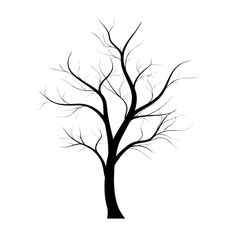 a tree with no leaves is shown in black and white, against a gray background