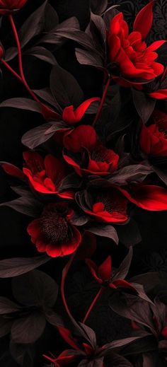 red flowers and leaves on a black background