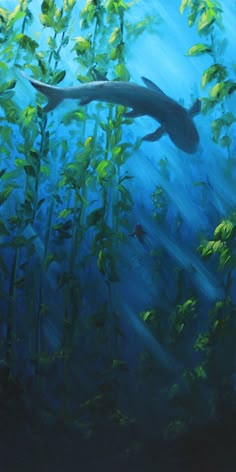 an oil painting of a shark swimming in the ocean surrounded by seaweed and plants