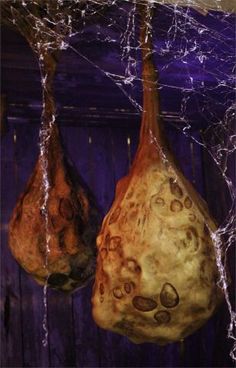 two hanging gourds with spider webs on them