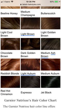 Brown Hair With Gold Undertones, Brown Hair Colors Chestnut, Chocolate Brown Hair Men, Chest Nut Brown Hair, Light Brown With Red Undertones, Dark Bronze Hair, Chestnut Hair Color Dark, Cocoa Hair Colour, Brown Hair Palette