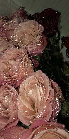 some pink roses with water droplets on them