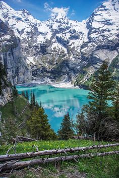 the mountains are covered in snow and green grass, with a lake surrounded by pine trees