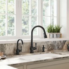 a kitchen sink with two faucets and a potted plant on the window sill