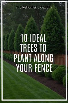 a row of trees with the words 10 ideal trees to plant along your fence in front of