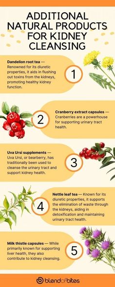 The Best 6 Foods for Kidney Cleansing - Blend of Bites Nettle Leaf Tea, Food For Kidney Health, Dandelion Root Tea, Improve Kidney Function, Kidney Detox, Kidney Diet