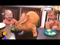 two children sitting at a table with an orange bunny eating food