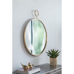 a mirror hanging on the wall next to a potted succulent in front of it