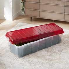 a plastic storage box with plants in it sitting on the floor next to a dresser