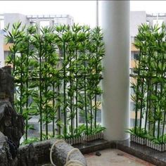 an outdoor water feature with bamboo trees in the background