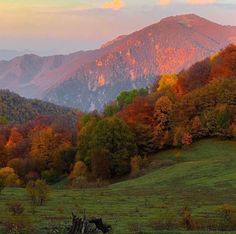 the mountains are covered in autumn foliage and trees with oranges, yellows, and green