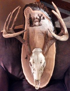 an animal's skull mounted on the back of a leather chair with antlers