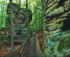 there is a wooden walkway going up to the rock formations in the woods with green moss growing on them