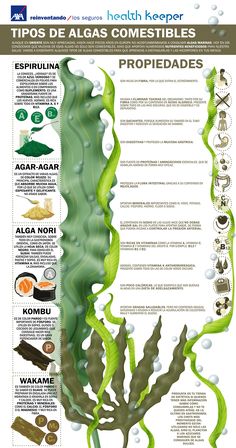 Food Matters, Japan Food, Microbiology, Natural Medicine, Healthy Nutrition, Ayurveda, Biology, Asparagus, Aromatherapy