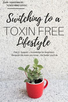 Free Lifestyle, Natural Cleaners