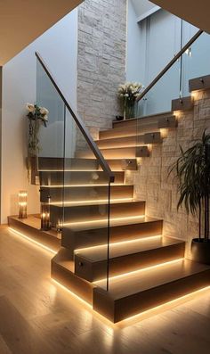 the stairs are lit up with leds and there is also a potted plant