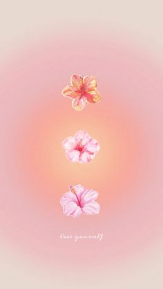 three pink flowers floating on top of each other