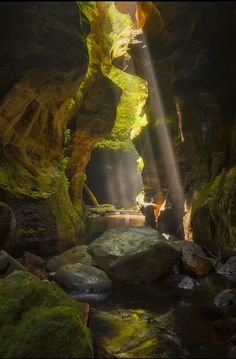 the light shines brightly in this cave with mossy rocks and green trees on either side