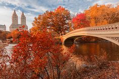 a bridge over a body of water surrounded by trees with orange leaves on it and buildings in the background