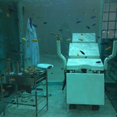 an image of a hospital room with fish in the water