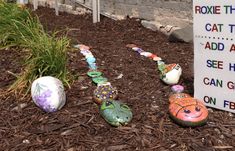 there are many painted rocks on the ground next to a sign that says roxie the cat, add and see here can go on board