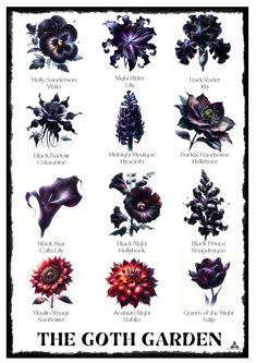 an image of the different types of flowers