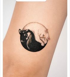 two cats sitting on top of each other in a black circle tattoo by the artist's arm