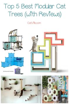 the top 5 best modular cat trees with reviews are featured in this postcard