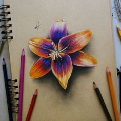 a drawing of a flower with colored pencils next to it