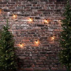 christmas lights are hanging on a brick wall next to evergreens and small fir trees