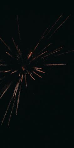 fireworks are lit up in the dark sky with no people around them or on the ground