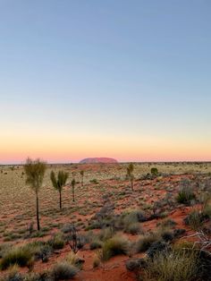 the desert with trees and bushes in it at sunset or dawn, near ulurura national park