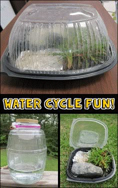 an image of water cycle fun in the garden