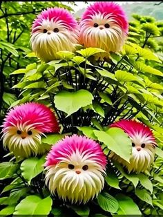 pink and white flowers with green leaves in the foreground, on top of each other