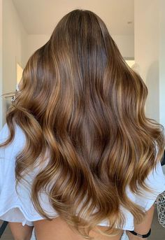 Honey Brown Color Hair, Red Toned Brunette Hair, Honey Brown Hair Ombre, Melting Hazelnut Hair, Brownie Balayage, Light Brown With Caramel Highlights, Light Brunette Balayage, Balayage Chocolate, Brown Hair Color Shades