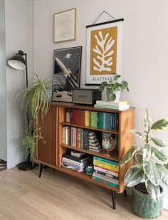 a bookshelf filled with lots of books next to a potted plant on top of a hard wood floor