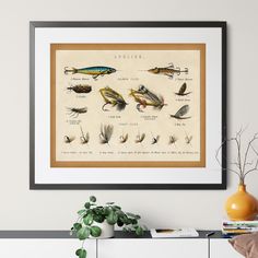 a framed print of different types of fishing lures