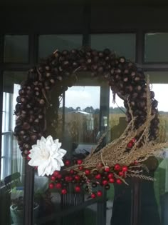 a wreath with red berries and a white flower hanging on the front door to decorate it