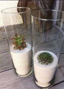 two vases with plants in them sitting on a table