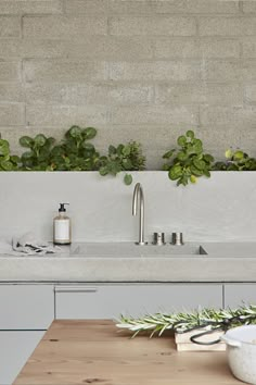 a kitchen sink and counter with plants growing on the wall above it, in front of a brick wall