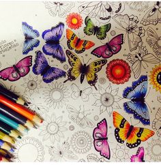 the coloring book is full of butterflies and has colored pencils next to each other