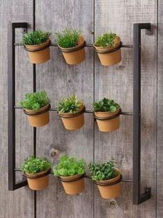 several potted plants are hanging on a wooden wall