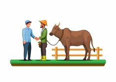 two men shaking hands with a bull in front of them on a fenced area