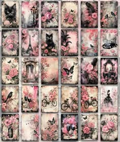 a collage of pink flowers and pictures with cats, birds, and bicycles on them