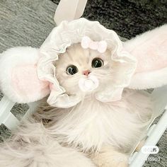 a cat wearing a bunny costume sitting on top of a white chair with its ears up