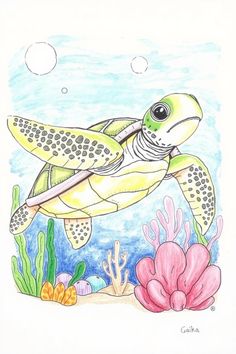 a drawing of a green turtle swimming in the ocean with corals and seaweed