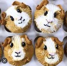 some cupcakes with icing on them are shaped like sheep's heads